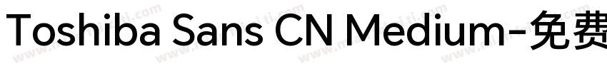 Toshiba Sans CN Medium字体转换